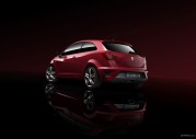 Seat Ibiza Bocanegra